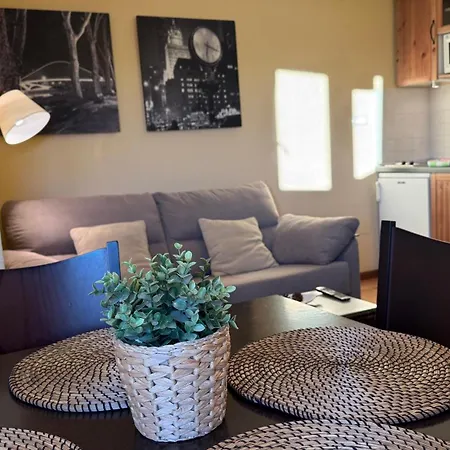 Presidente Nevasur *