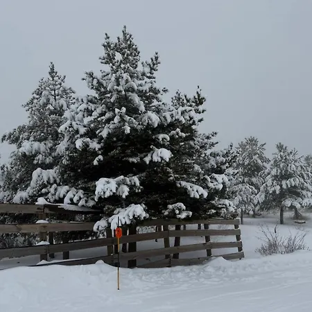 Apartment Presidente Nevasur *